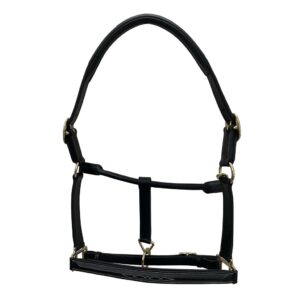 Indiana Raised Fancy Stitch Halter with lead