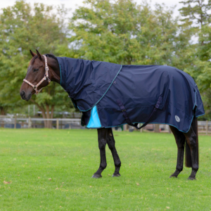 Storm Buster Rain Sheet with Neck