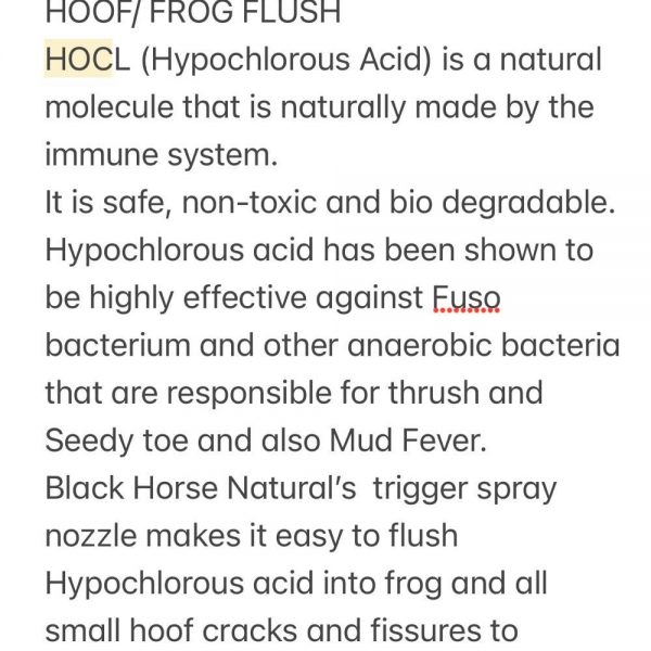 Black Horse Naturals Thrush/Mud Fever Spray Natal Saddlery