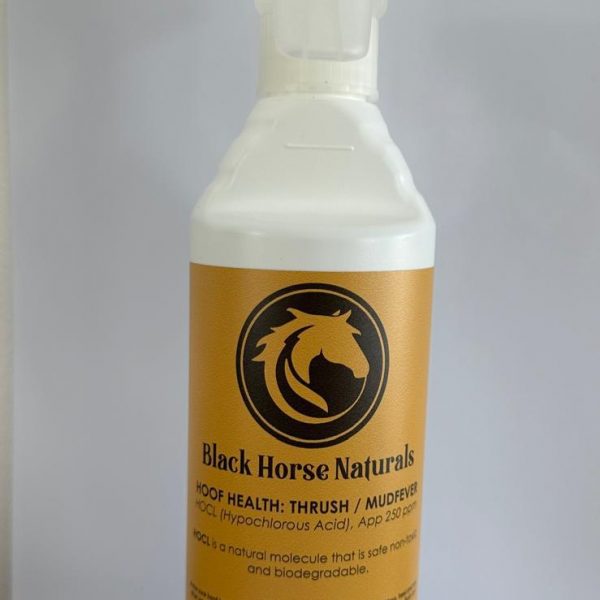 Black Horse Naturals Thrush/Mud Fever Spray Natal Saddlery