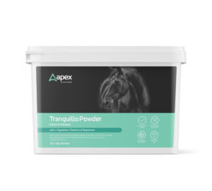 Apex Tranquilo Powder