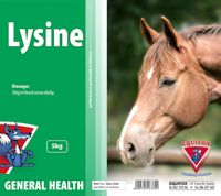 Equifox Lysine 1kg
