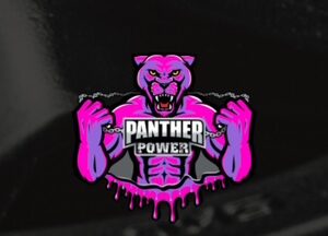 Panther Power Anti-bacterial helmet spray