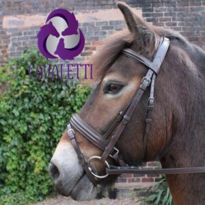 Cavaletti Collection Discovery Bridle