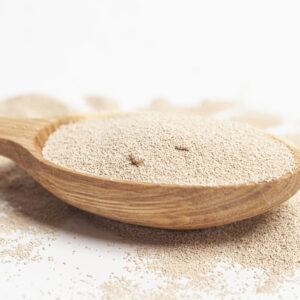 AHFS Brewers Yeast