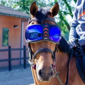 eQuick eVysor Goggles